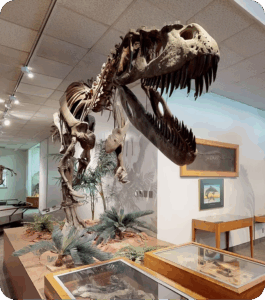 Cultural Heritage Preservation